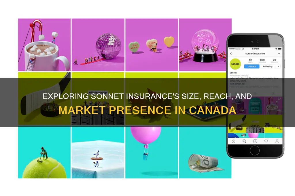 how big is sonnet insurance