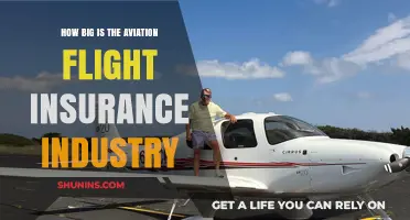 Exploring the Size and Scope of Aviation Flight Insurance Industry
