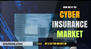 Exploring the Size and Growth of the Cyber Insurance Market