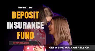 Understanding the Size and Scope of the Deposit Insurance Fund