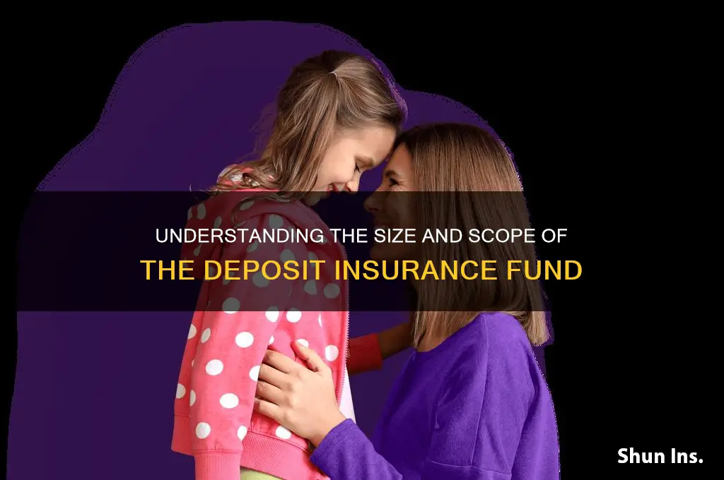 how big is the deposit insurance fund