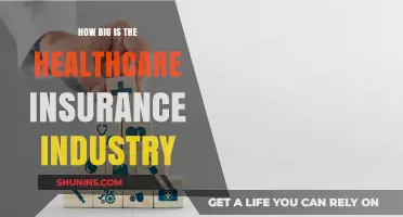 Exploring the Massive Scale of the Healthcare Insurance Industry