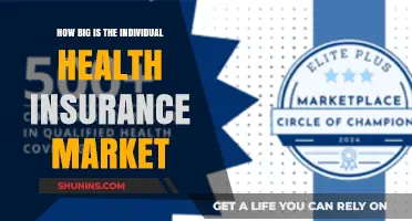 Exploring the Size and Scope of Individual Health Insurance Market
