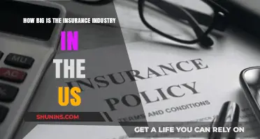 Exploring the Massive Scale of the US Insurance Industry