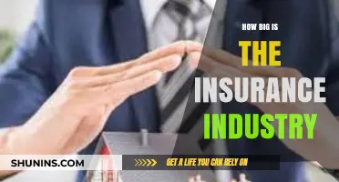 Exploring the Massive Scale and Impact of the Insurance Industry