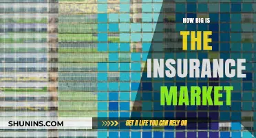 Exploring the Massive Global Insurance Market: Size, Scope, and Trends