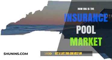Exploring the Vast Size of the Global Insurance Pool Market