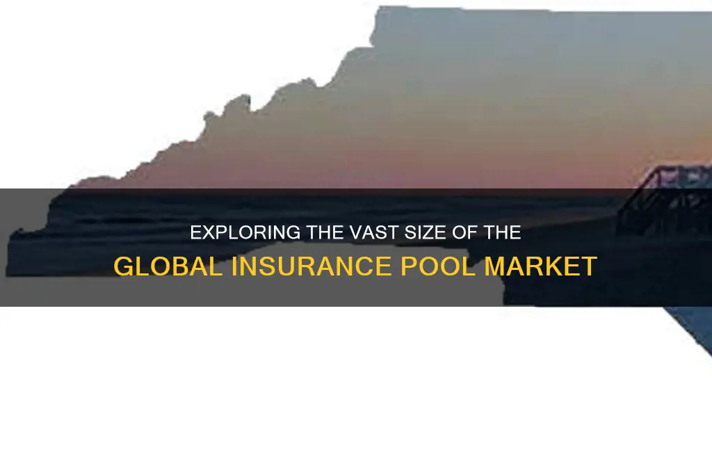 how big is the insurance pool market
