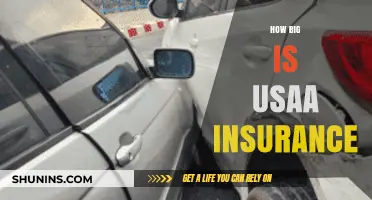 Exploring USAA Insurance: Size, Scope, and Market Presence Revealed