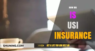 Exploring the Scale and Impact of USI Insurance in the Market