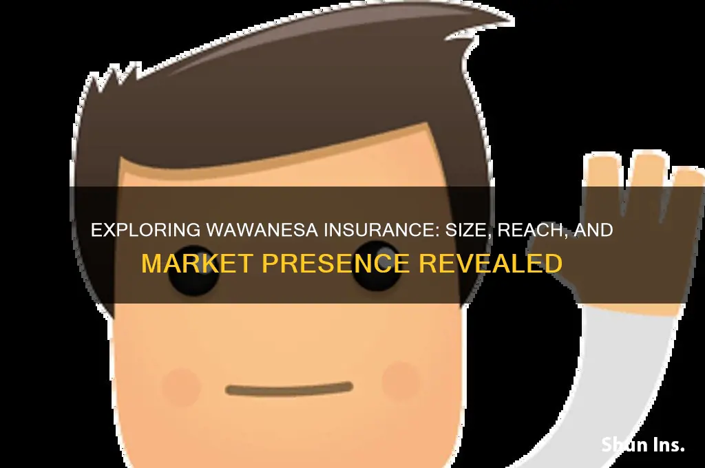 how big is wawanesa insurance