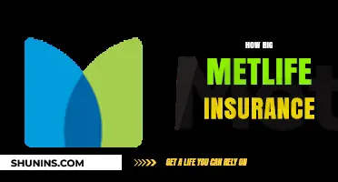 How Big is MetLife Insurance? Exploring Its Size and Impact