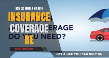 Auto Insurance Coverage: Striking the Right Balance