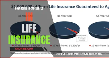 Understanding Bonus Calculation Methods in Life Insurance Policies