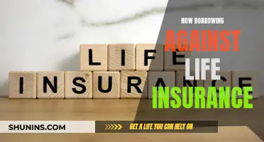 Borrowing Against Life Insurance: Is It Worth the Risk?