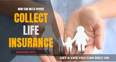 Life Insurance Payouts: Can Your Ex-Spouse Claim Them?