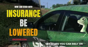 Strategies to Reduce GEICO Auto Insurance Premiums