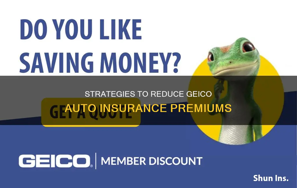 how can geico auto insurance be lowered