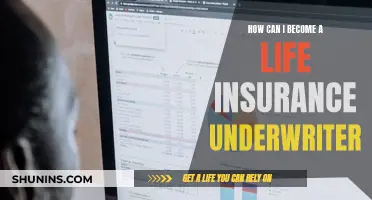 Life Insurance Underwriter: Your Career Guide