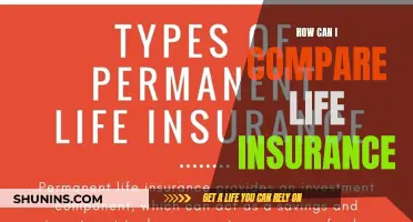 Comparing Life Insurance: What You Need to Know