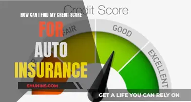 Unveiling the Mystery: Navigating Credit Score's Impact on Auto Insurance