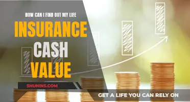 Unlocking Your Life Insurance: Cash Value Explained