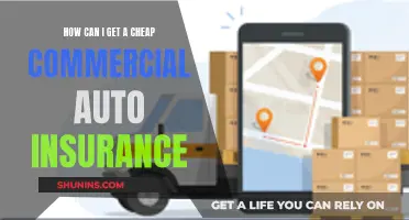 Navigating the Road to Affordable Commercial Auto Insurance