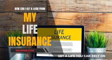 Unlocking Loan Options with Life Insurance Policies