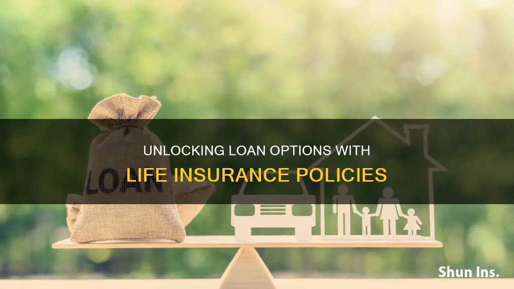 how can I get a loan from my life insurance