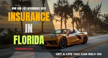 Finding Affordable Auto Insurance in Florida: A Guide to Lowering Your Rates