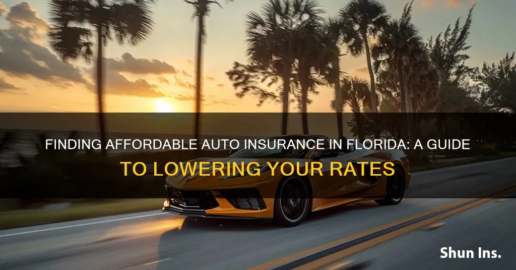 how can I get affordable auto insurance in Florida