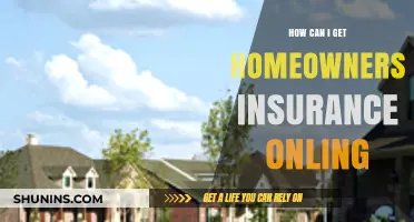 Online Homeowners Insurance: Quick, Easy, and Secure