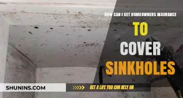 Homeowners: Insuring Against Sinkhole Damage