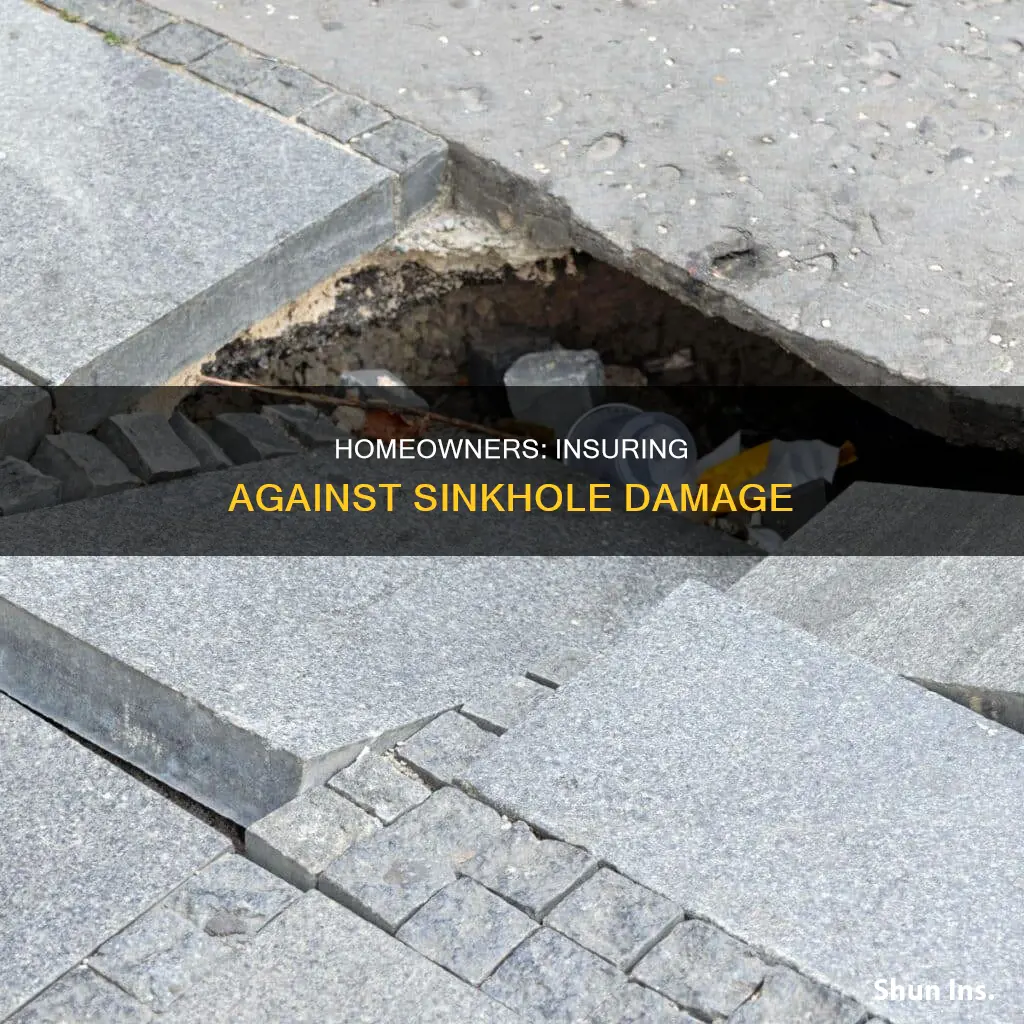 how can I get homeowners insurance to cover sinkholes