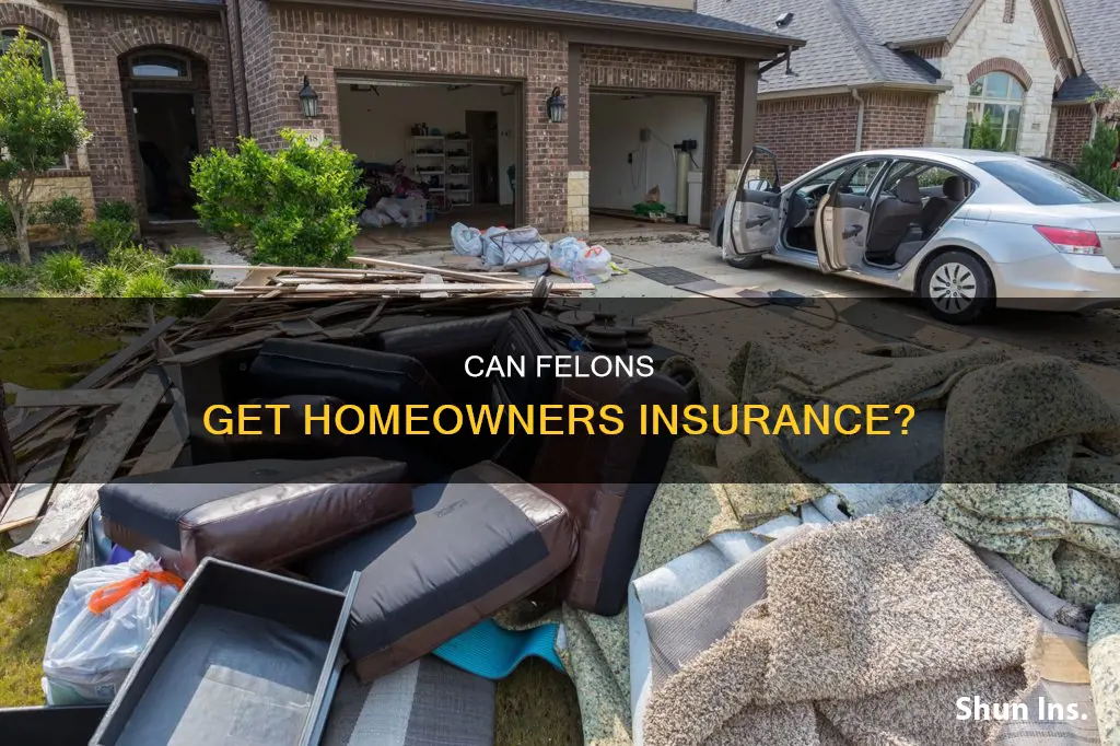 how can I get homeowners insurance with felonies