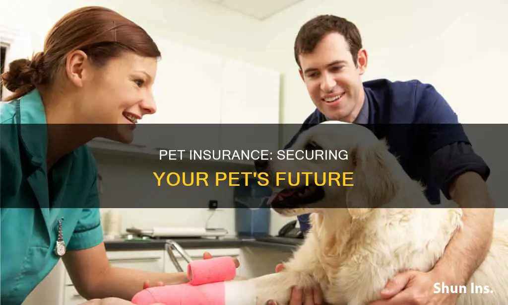 how can I get life insurance for my pet