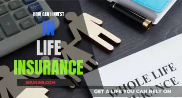 Life Insurance: Investing in Peace of Mind