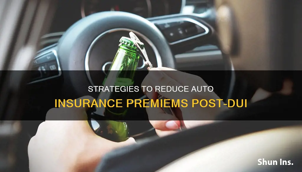 how can I lower auto insurance premiums after a dui