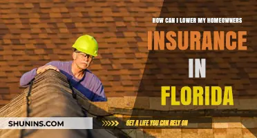 Lowering Florida Home Insurance: Tips and Tricks