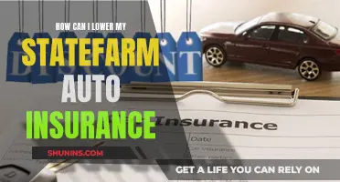 Strategies to Reduce State Farm Auto Insurance Premiums