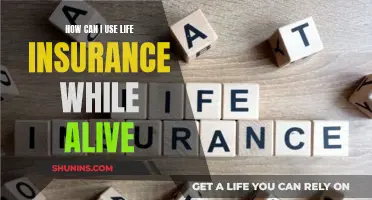 Life Insurance: Benefits to Reap While Alive