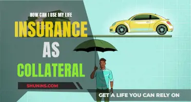 Using Life Insurance as Collateral: What You Need to Know