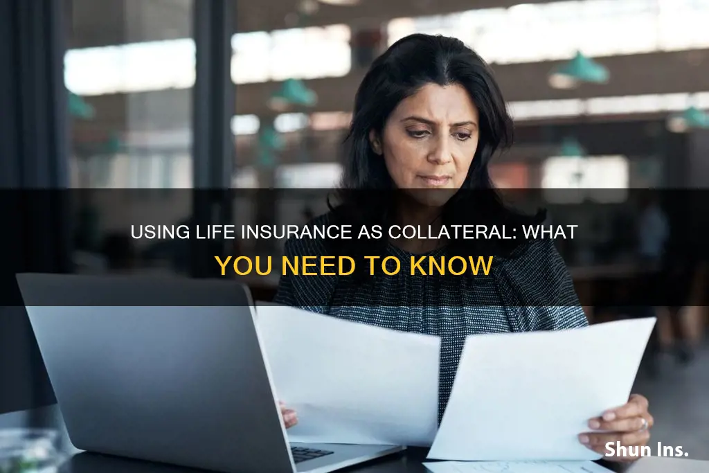 how can I use my life insurance as collateral