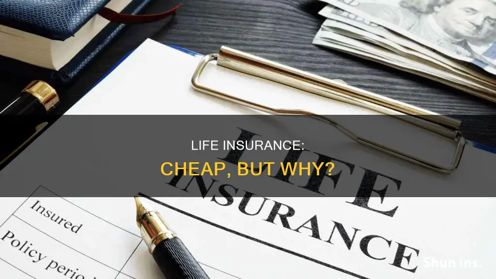 how can life insurance be so cheap