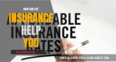 Life Insurance: Your Ultimate Financial Safety Net