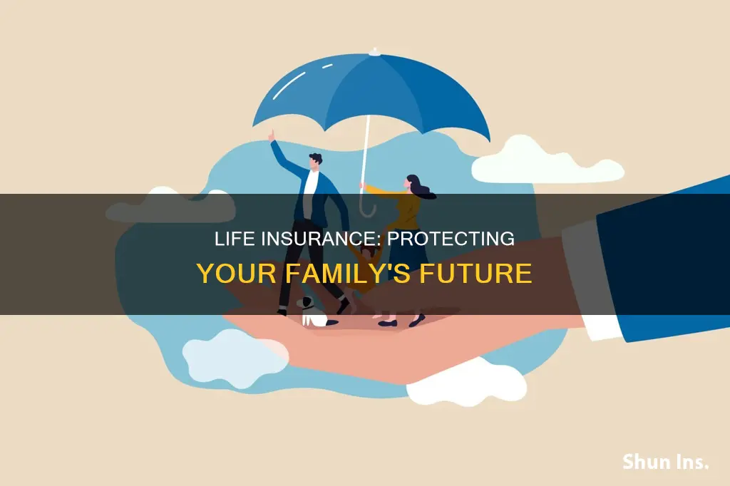 how can life insurance protect my family