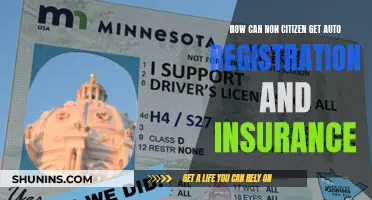 Navigating Auto Registration and Insurance: A Guide for Non-Citizens