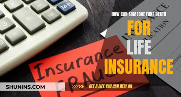 Faking Death: Insurance Fraud and its Complexities