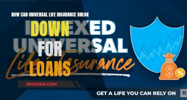 Universal Life Insurance: Breaking Down Loan Benefits