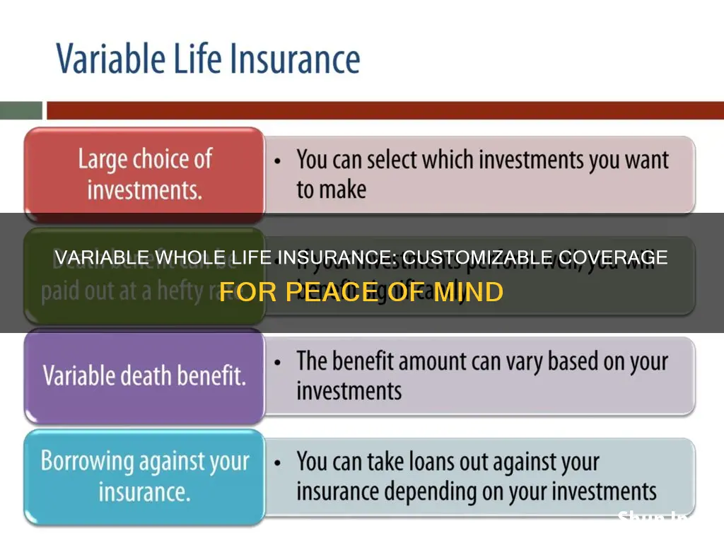 how can variable whole life insurance be described as